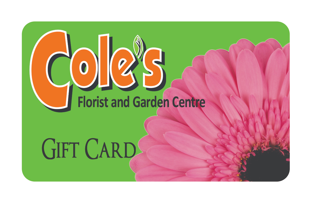 Cole's Gift Card
